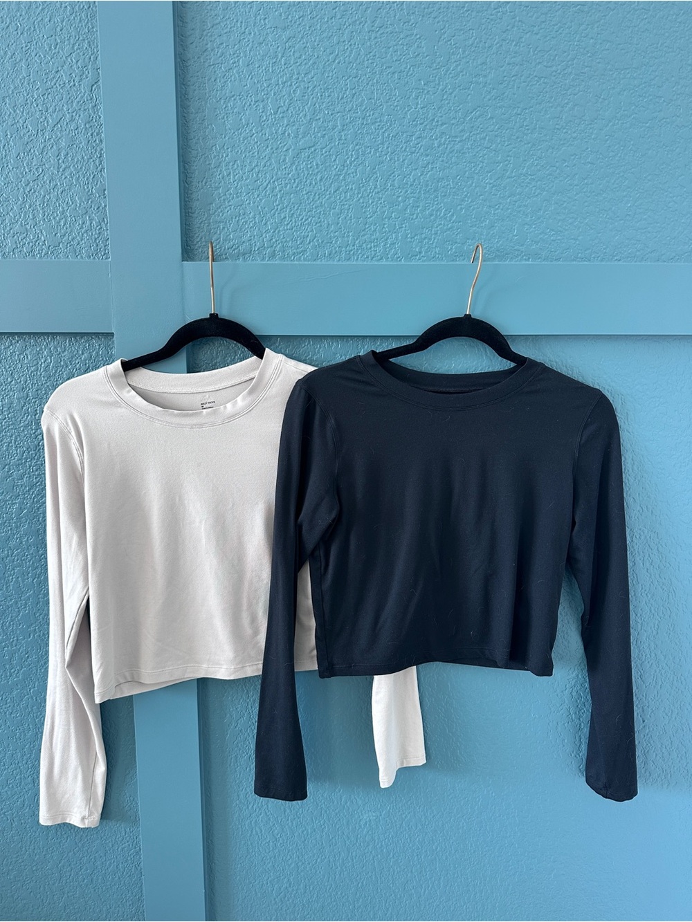 Gilly Hicks Long Sleeve Cropped Crewneck Top - Black & Beige